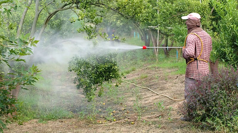 Pesticides : les tueurs d’abeilles sont-ils dangereux pour les humains