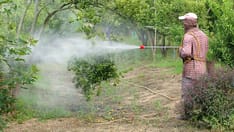 photo of pesticides