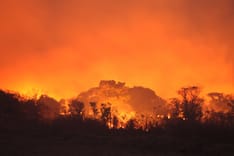 photo of bush fires