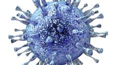 photo of virus