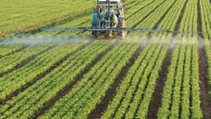 photo of pesticides
