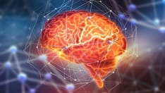 photo of brain