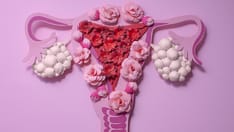 photo of ovaries