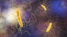 photo of clostridium