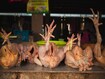 photo of chickens at market in Malaysia