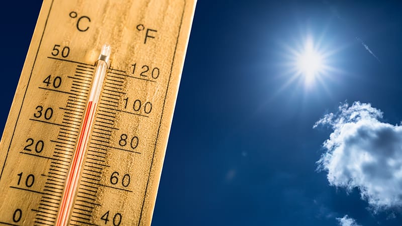 England Heading for Record Year of Heatwave Deaths