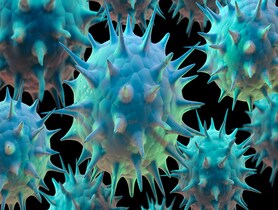 photo of monkeypox variant.