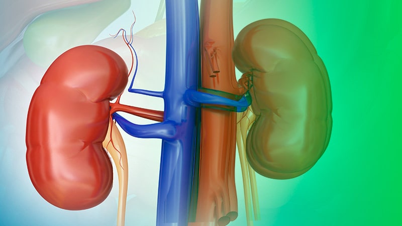 Renal Denervation for Hypertension: How Will It Be Used?