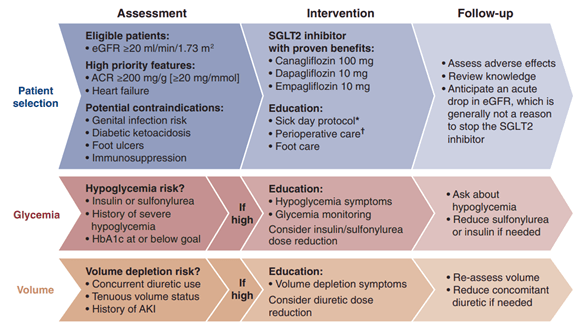 Diabetes in Chronic Kidney Disease: KDIGO 2022 Guideline Summary