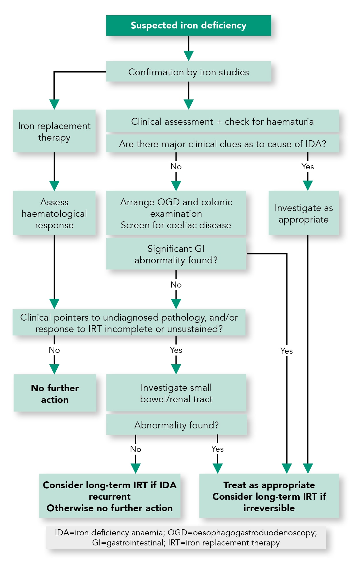 Iron Deficiency Anaemia Adults Management