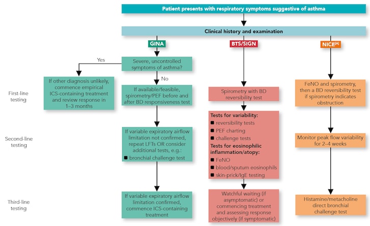 Leitlinien – Grundlagen: 2024 GINA Strategy for Asthma Management and ...