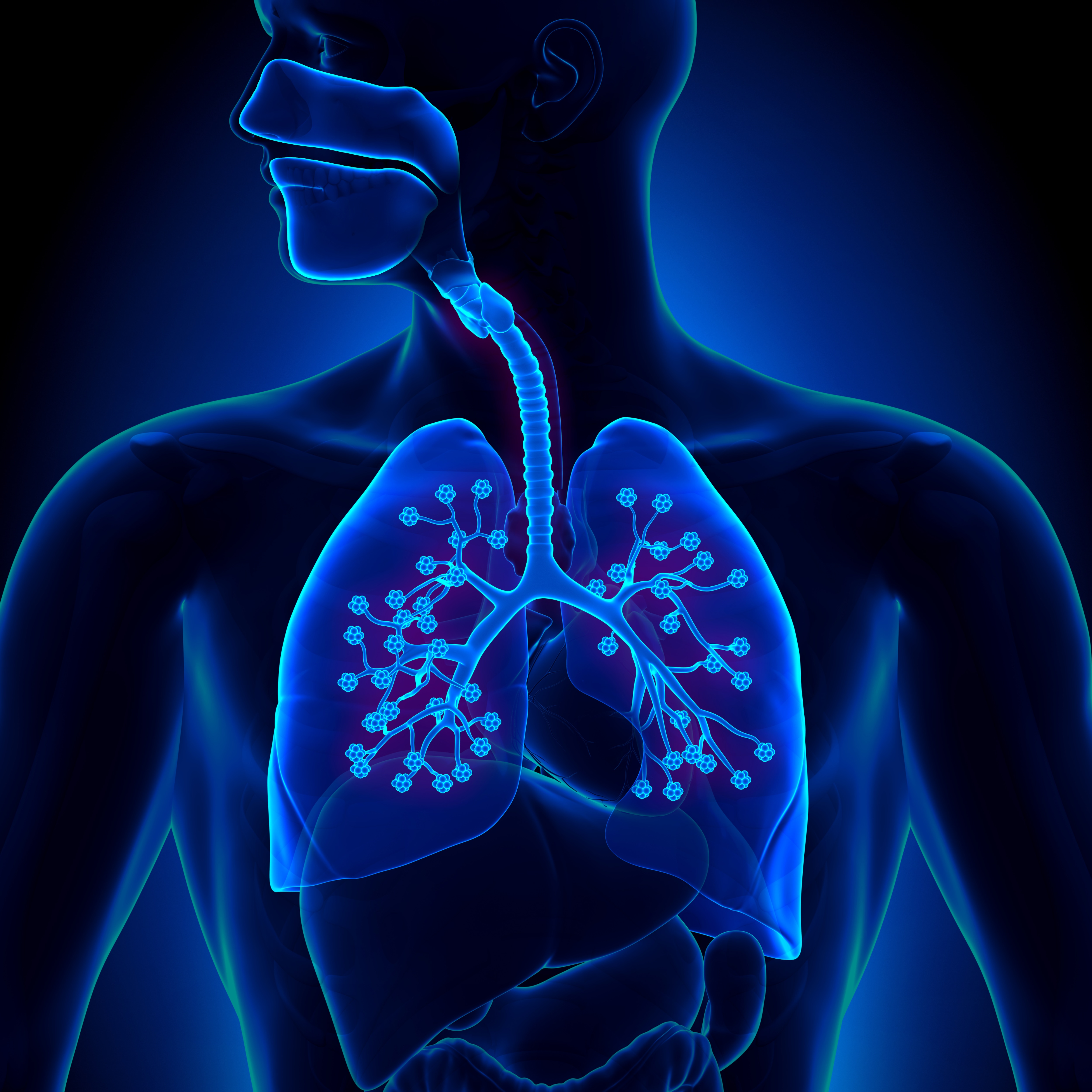 Chronic thromboembolic pulmonary hypertension following VTE: what are ...