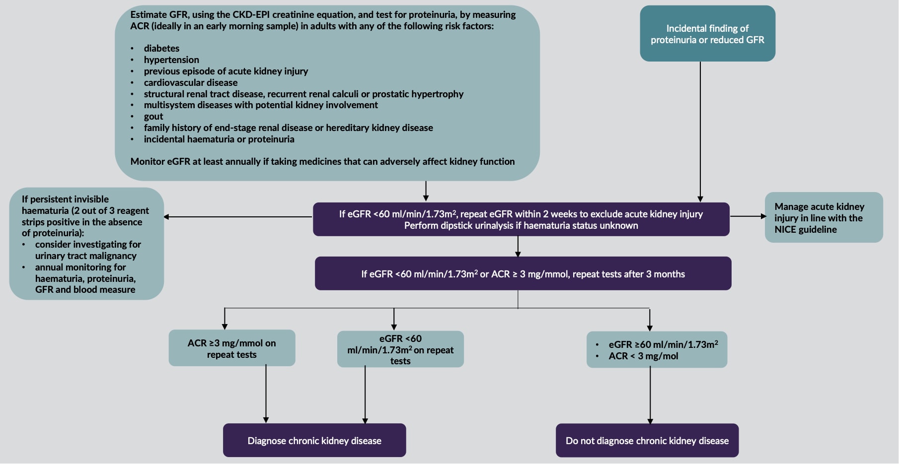 identify-chronic-kidney-disease-early-to-minimise-renal-decline