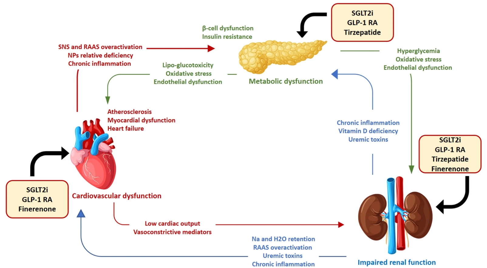 Practise Holistic Care for Cardiovascular–Renal–Metabolic Conditions