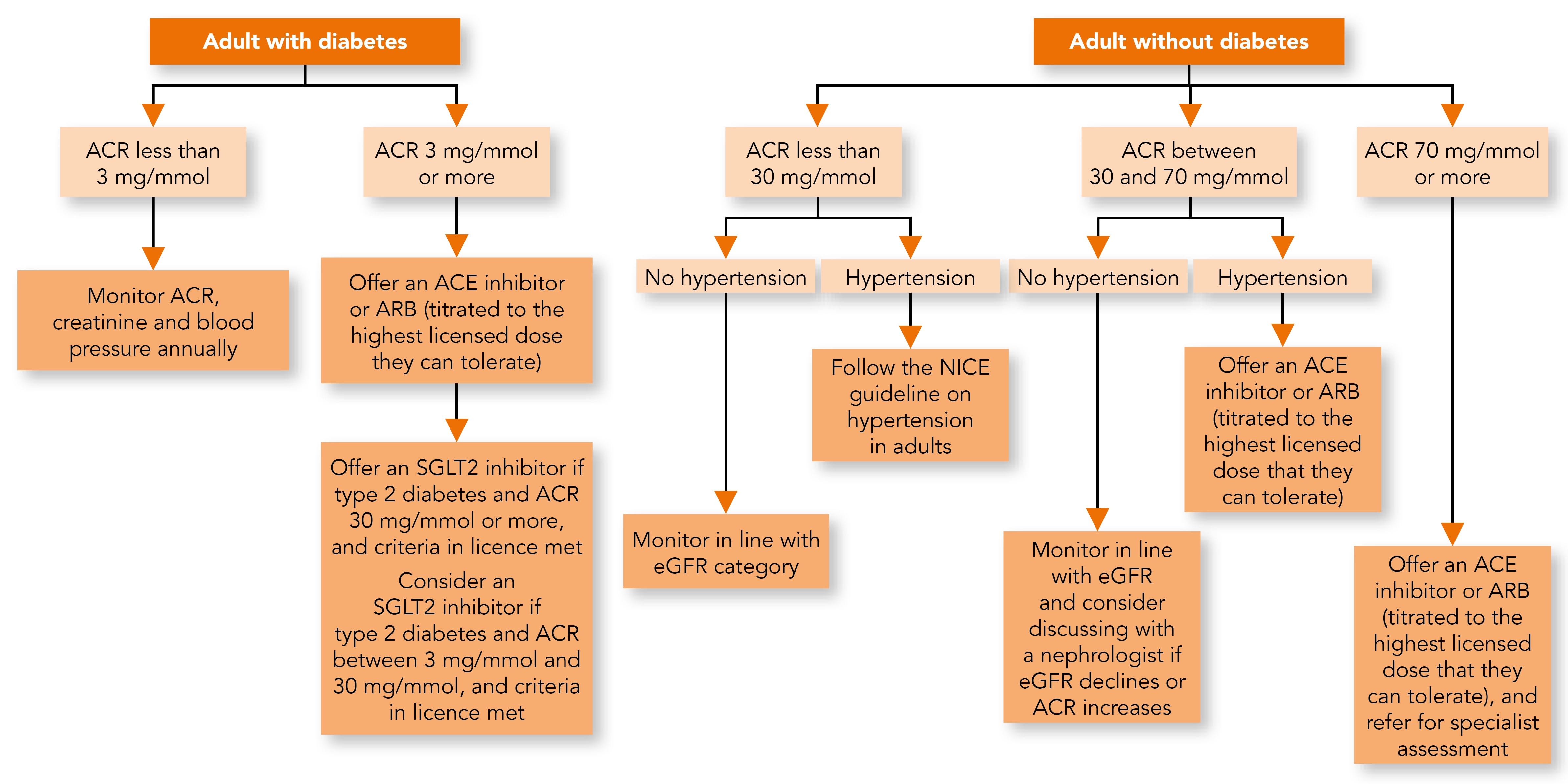 Optimise Identification and Management of Chronic Kidney Disease