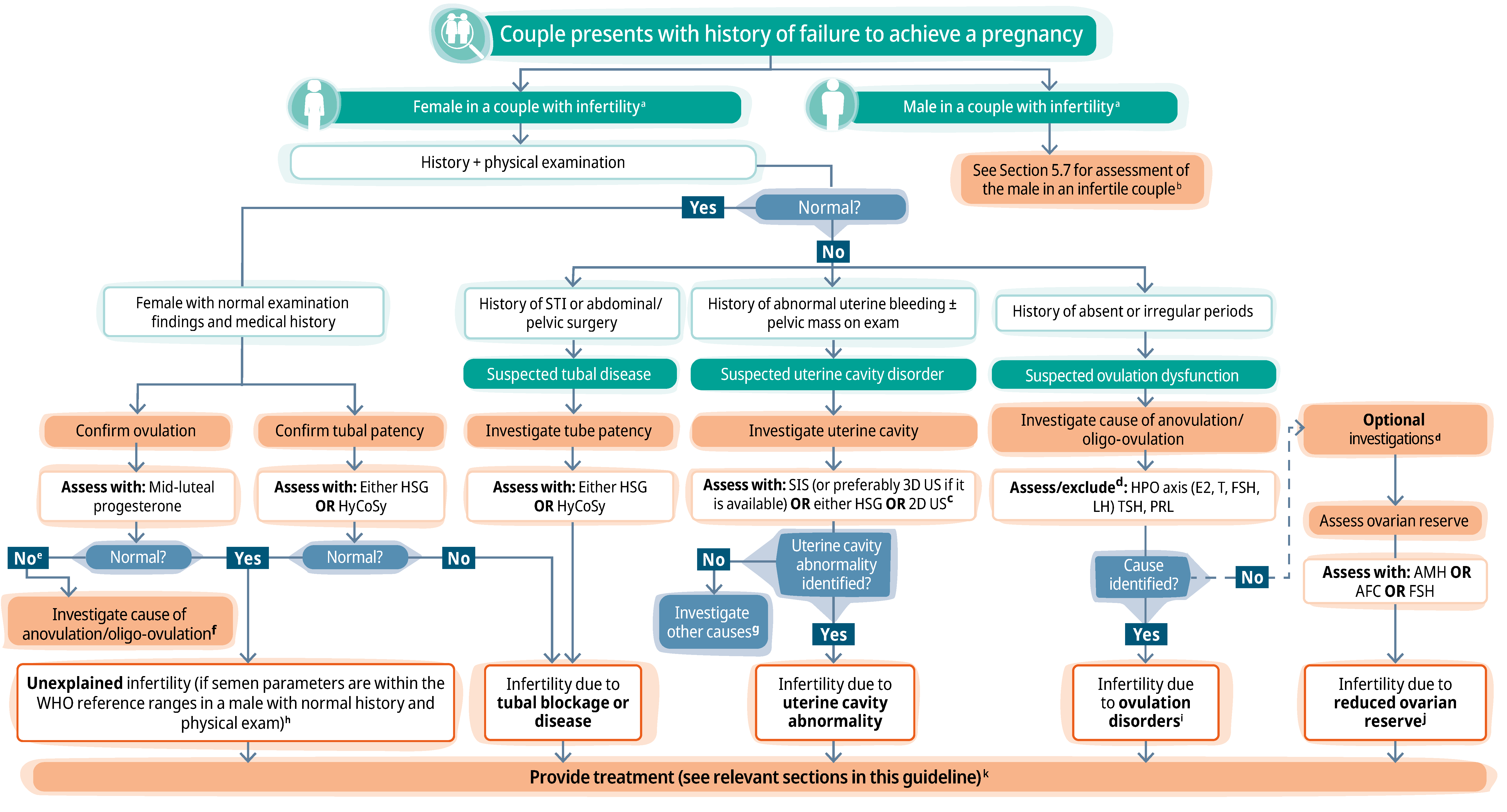 Infertility: WHO 2025 Guideline Summary