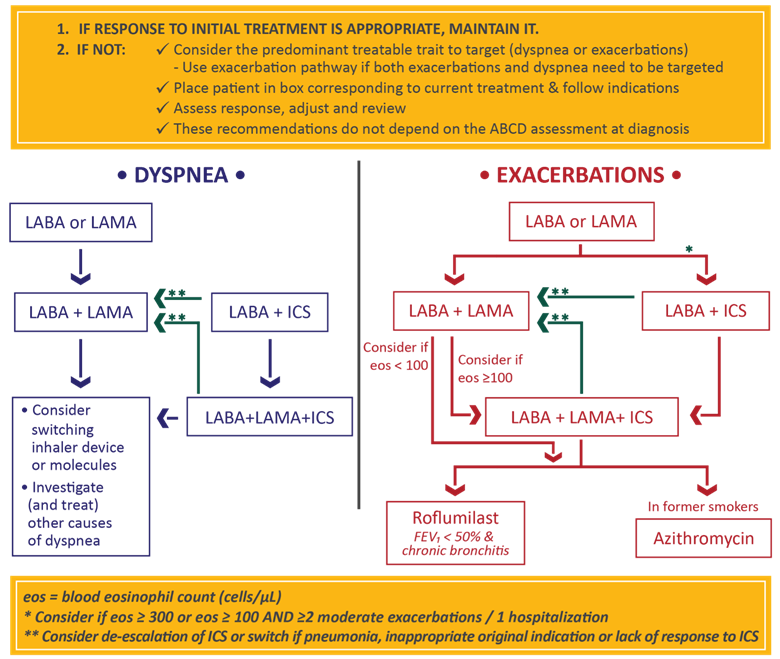 GOLD COPD Strategy in 2022 Key Updates for Primary Care