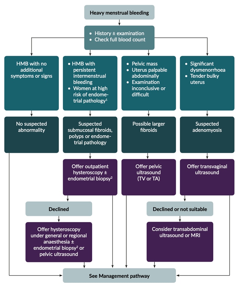 Chronic pelvic pain and heavy menstrual bleeding are common