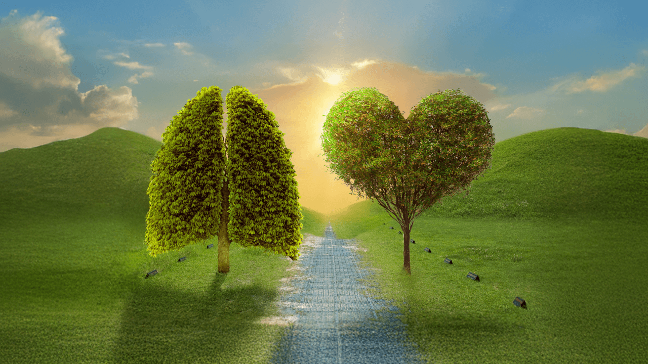 PAH in Focus: Challenges in Diagnosis, Risk Stratification, and ...