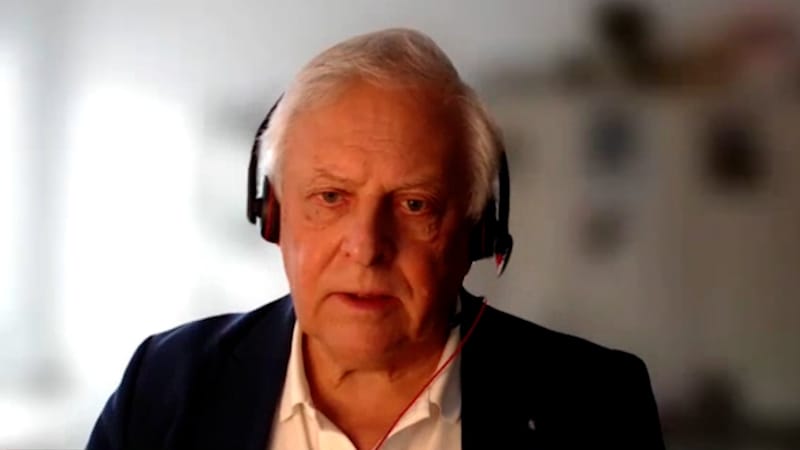 Candesartan for Migraine Prevention, Shunts in NPH, Stroke