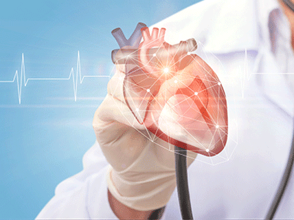 Heart Failure in Action: A Case-Based Simulation Challenge
