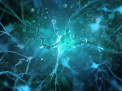 Rett Syndrome: Bridging Patient and Physician Views on Monitoring