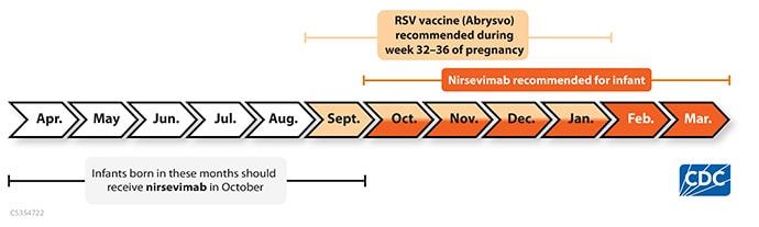 photo of NCIRD Online graphic