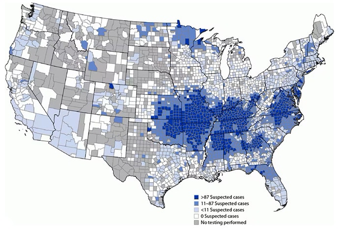 photo of a US map