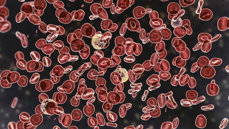 FDA Approves Rusfertide for Polycythemia Vera