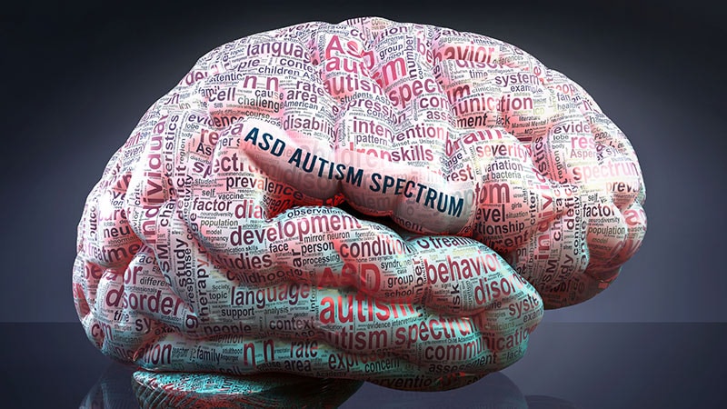 What Do We Know About the Causes of Autism?