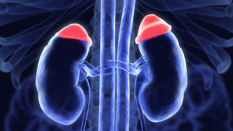 ข้อมูลใหม่เกี่ยวกับ adrenal hyperplasia แต่กำเนิดกลับไปที่ Crinecerfont