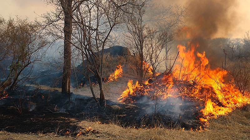 Wildfire Smoke Can Pose Risks Months Later