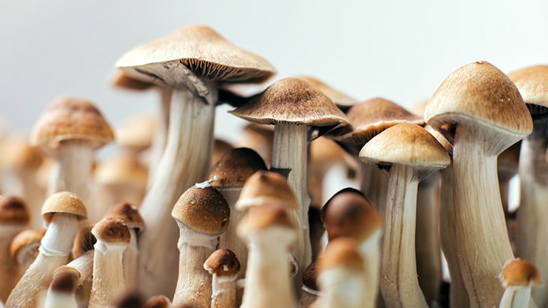 Psilocybin Safe, Effective for TRD: Phase 3 Data
