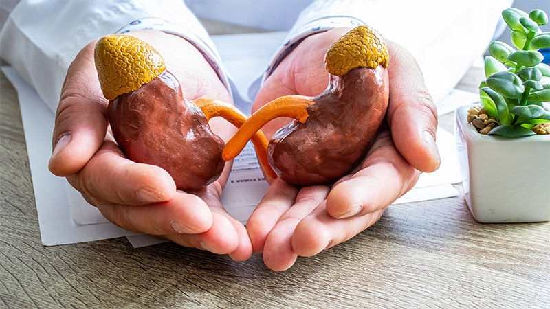 Risk Factors for Neutrophil Infiltration in Kidney Grafts