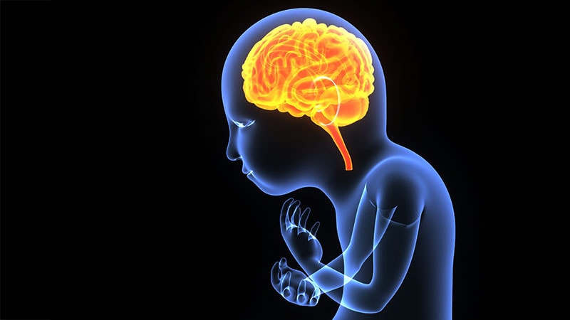 Can the Developing Brain Weather Climate Change?