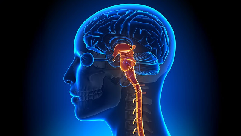 The Brainstem and Pain: New Research, New Understanding