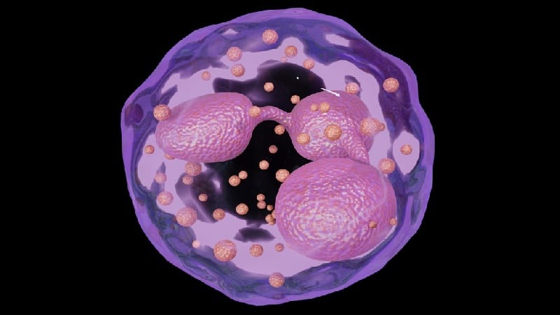 Por que o infarto do miocárdio noturno tende a ser menos grave