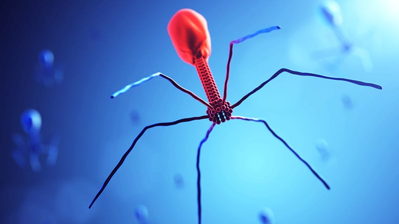 Maladie de Crohn : découverte d’une potentielle signature virale dans le sang