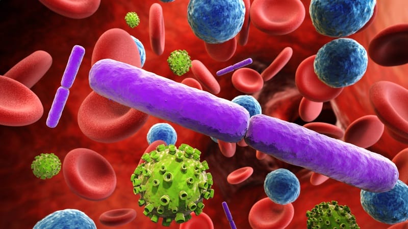 Infection Prevention in Europe, Part 3: Building Resilience