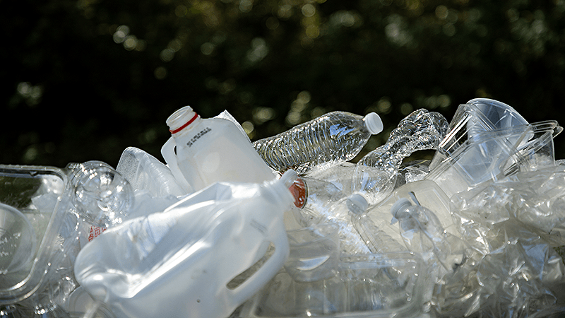 Waste Not, Want Not: Scientists Turn Plastic Into Levodopa