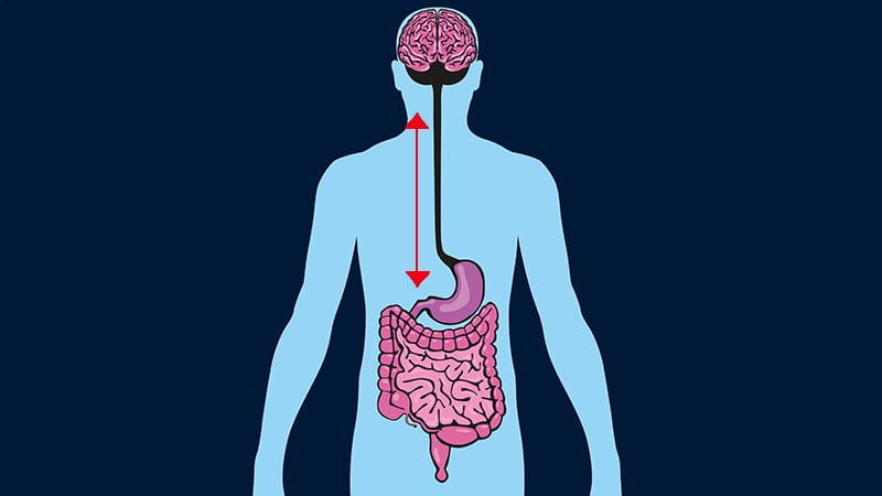 How Gut Bacteria Could Trigger Memory Loss as We Age