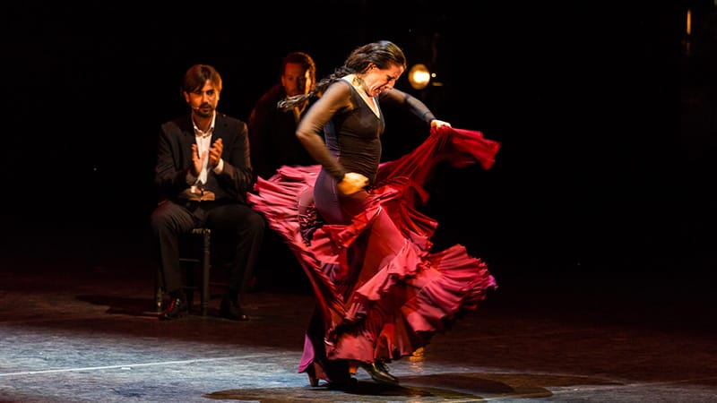 Das Corps in Szene: Als die Medizin den Flamenco rennt