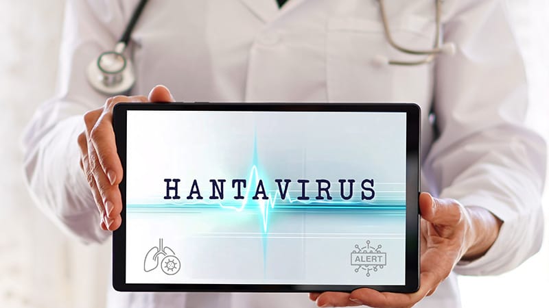 Quiz : les hantavirus