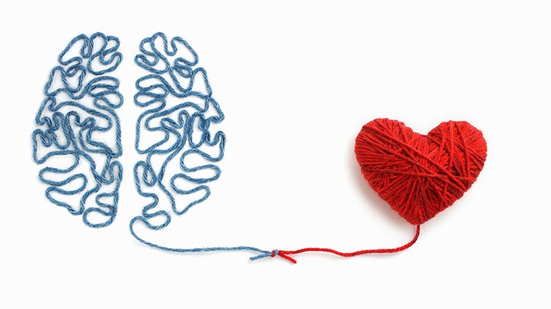 Can Sexual Experience Reshape the Brain?