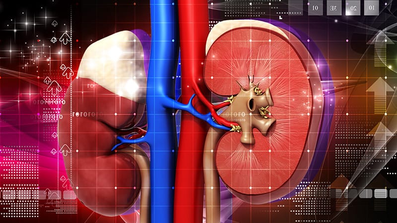 Indoxyl Sulphate Levels Tied to Cognitive Impairment in CKD