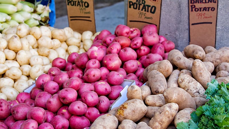 Immune Marker Curbs Starch Cravings After Bariatric Surgery