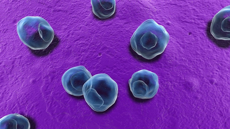 Rapid STI Testing Reduces ED Treatment Errors