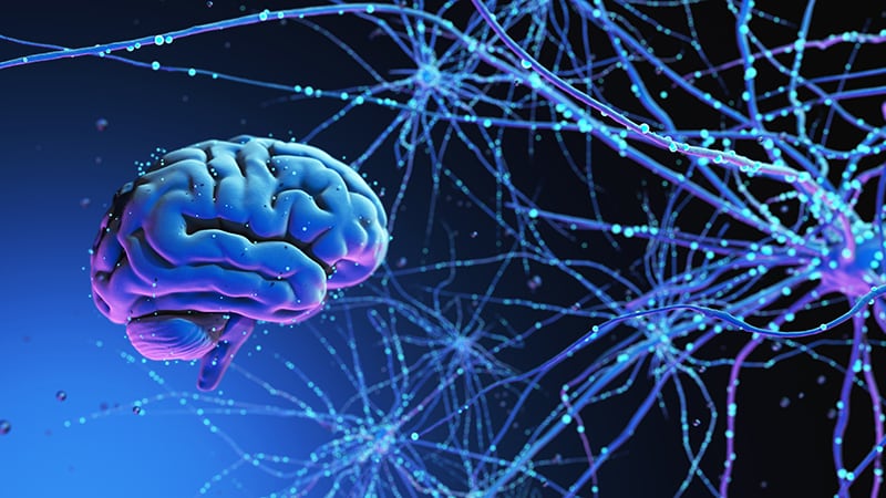 How Today’s Human Brain Became so Uniquely Human