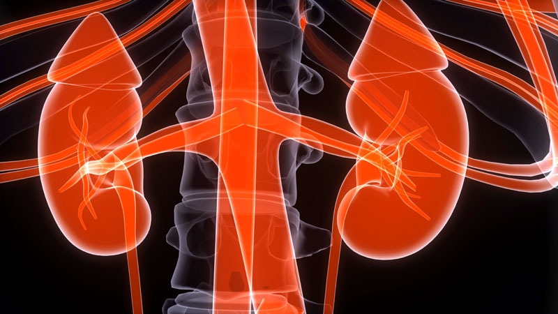 Diabetic Kidney Disease Deaths Rising in Latin America