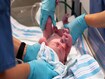 photo of Newborn baby